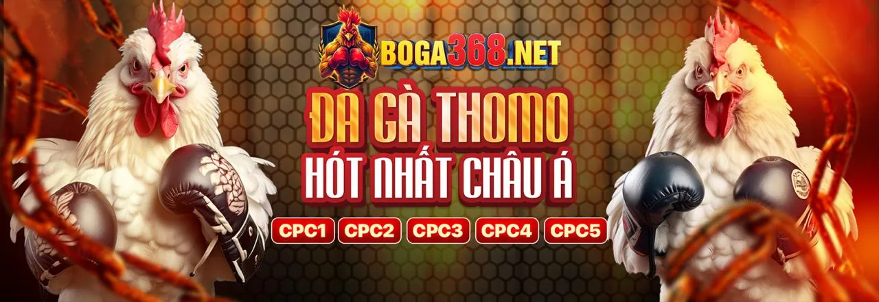 Cá cược thể thao 33WIN9